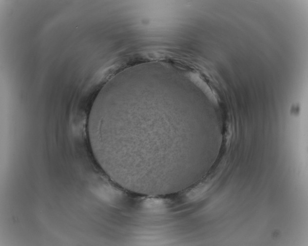 X0000091690332200709061130