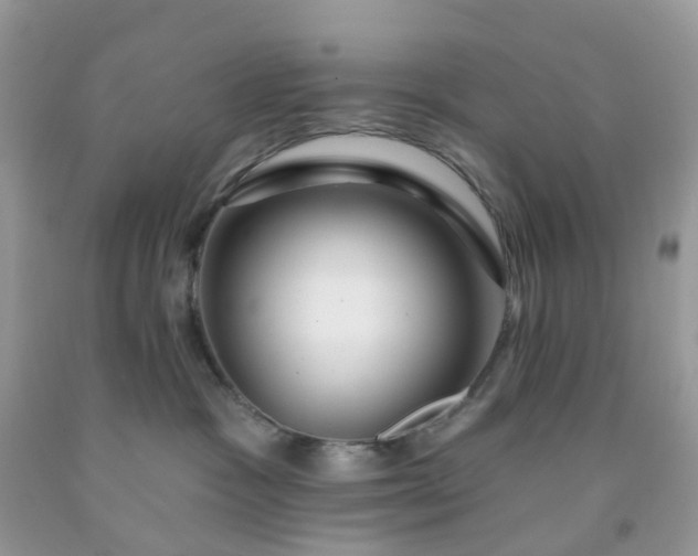 X0000091690333200709061130