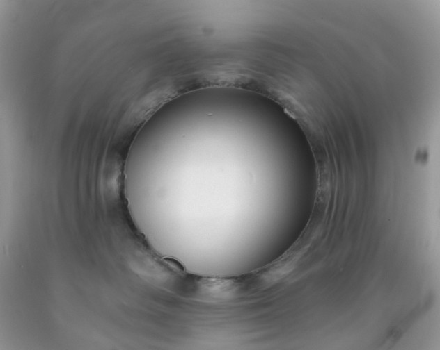 X0000091690334200709061130