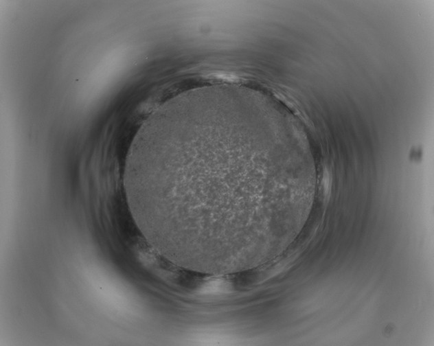 X0000091690335200709061130