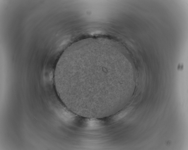 X0000091690336200709061130