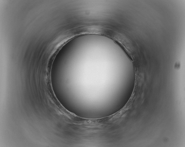 X0000091690338200709061129