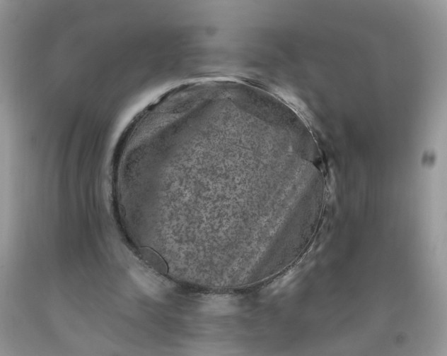 X0000091690342200709061130