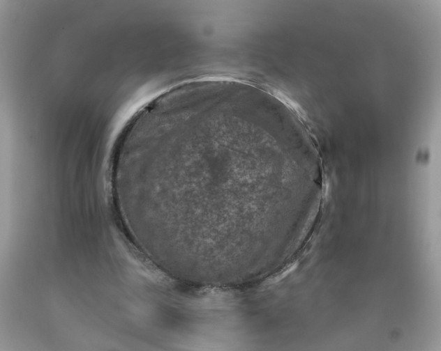 X0000091690343200709061130