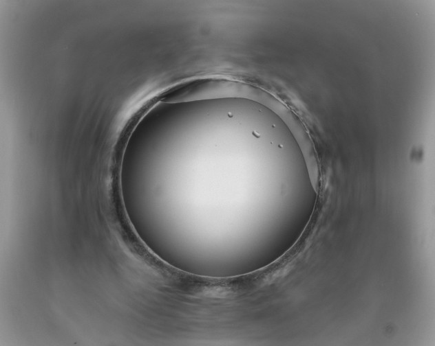 X0000091690344200709061130