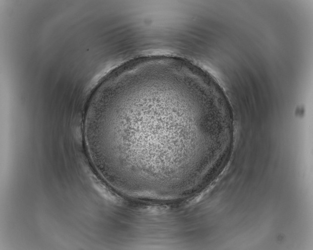 X0000091690345200709061130