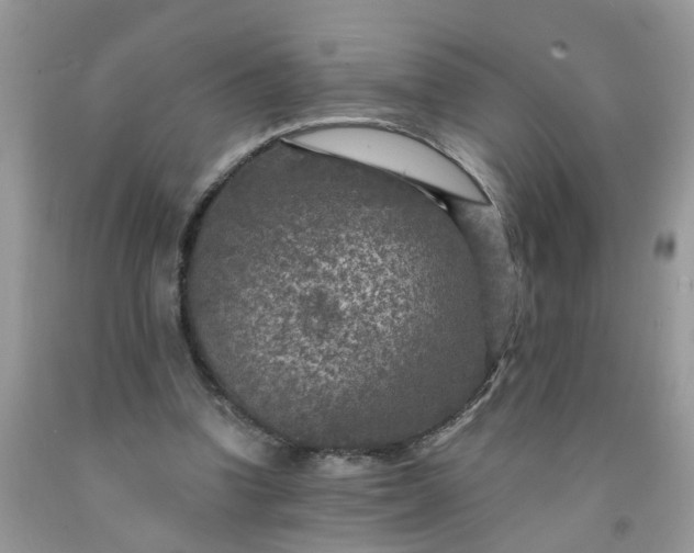 X0000091690346200709061130