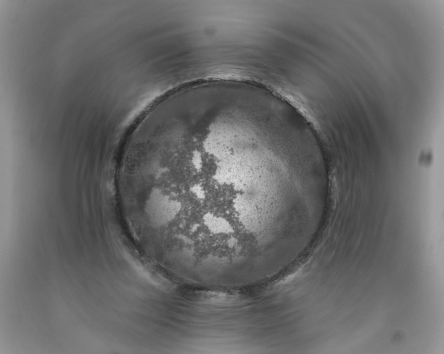 X0000091690347200709061130