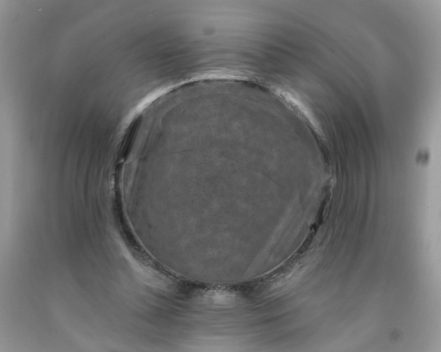 X0000091690348200709061130