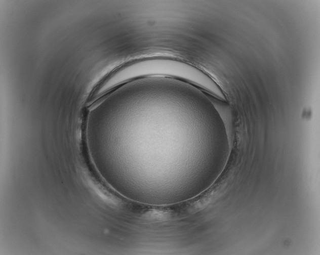 X0000091690350200709061130