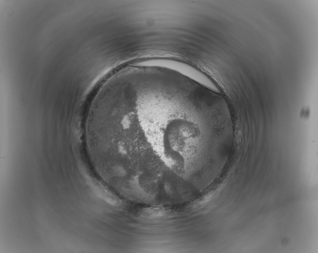 X0000091690351200709061130