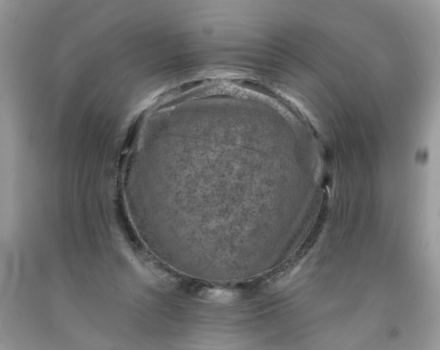 X0000091690352200709061130