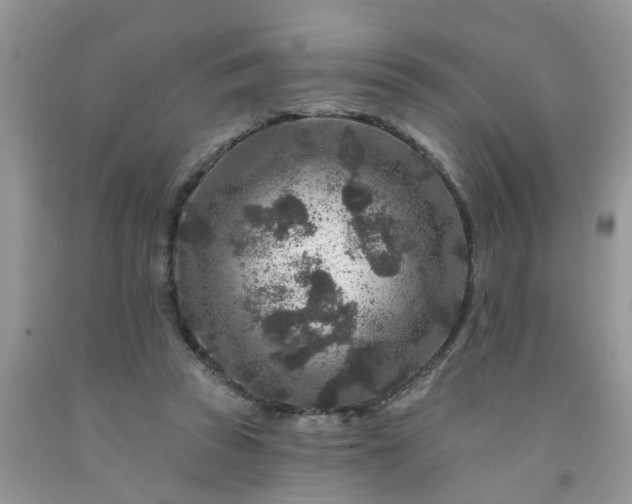 X0000091690353200709061130