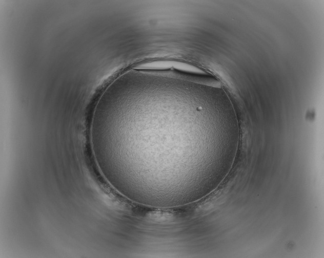 X0000091690354200709061130