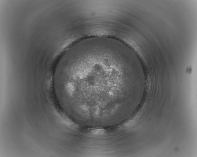 X0000091690355200709061130