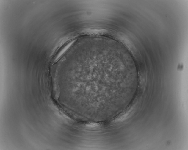 X0000091690357200709061130