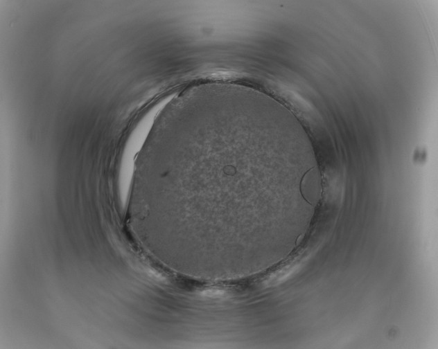 X0000091690358200709061130