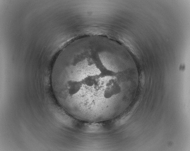 X0000091690359200709061130