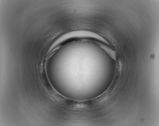 X0000091690360200709061130