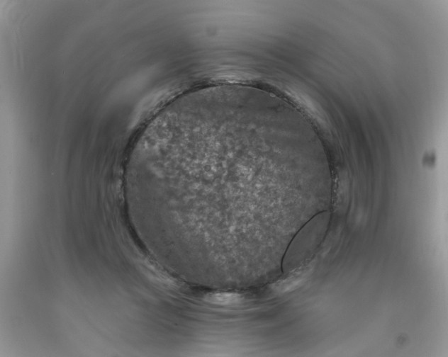 X0000091690361200709061130