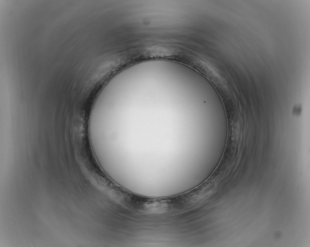 X0000091690362200709061130