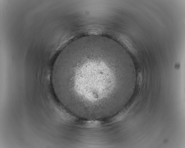 X0000091690363200709061130