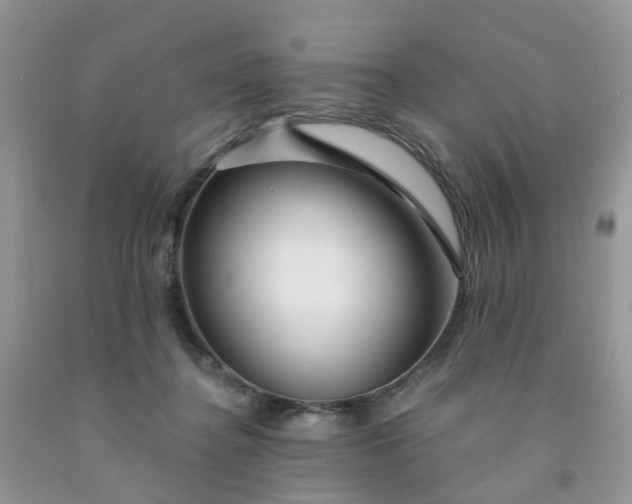 X0000091690364200709061130