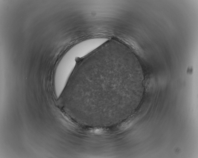 X0000091690365200709061130