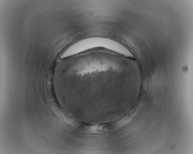 X0000091690366200709061130