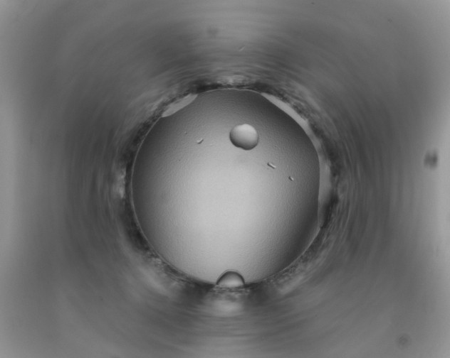 X0000091690368200709061130