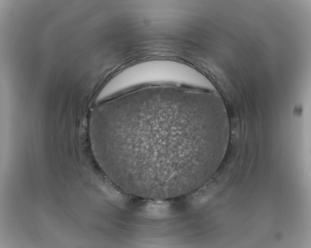 X0000091690369200709061130