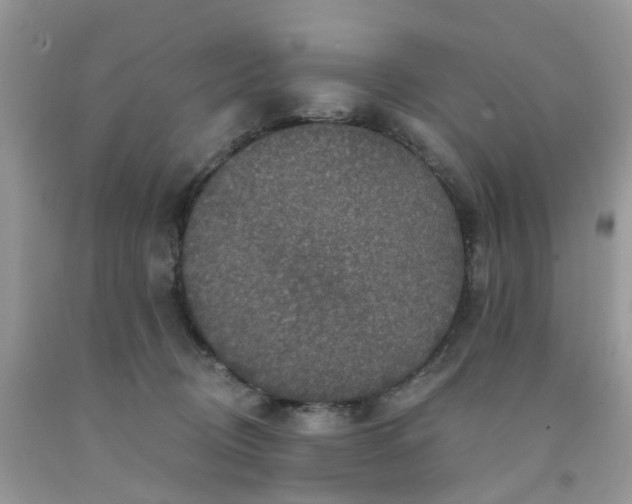 X0000091690370200709061130