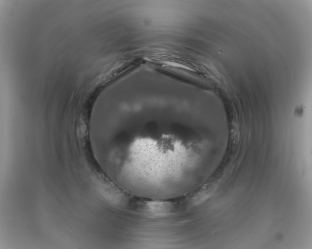 X0000091690371200709061130