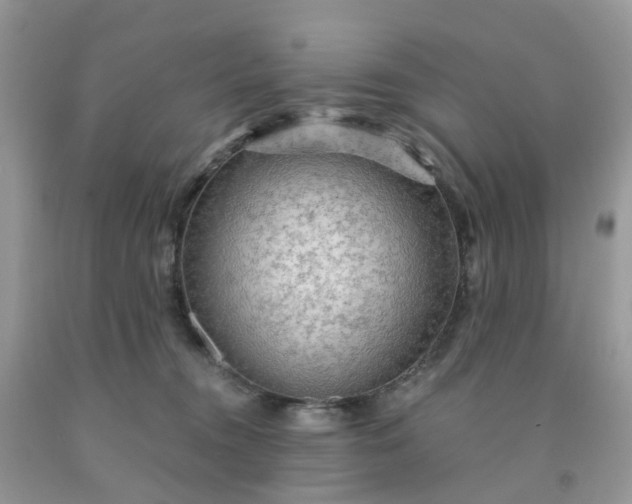 X0000091690372200709061130