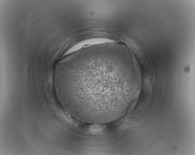 X0000091690373200709061130