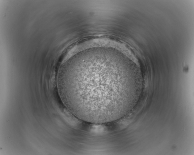 X0000091690376200709061130