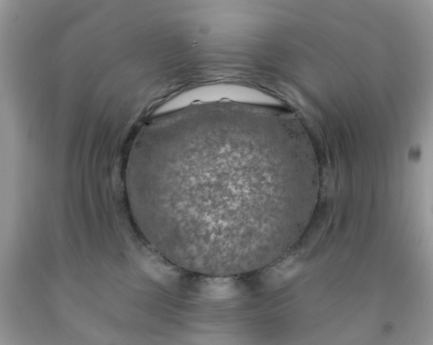 X0000091690377200709061130