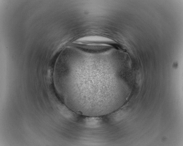 X0000091690378200709061130