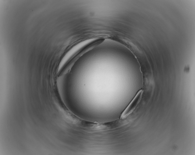 X0000091690379200709061130