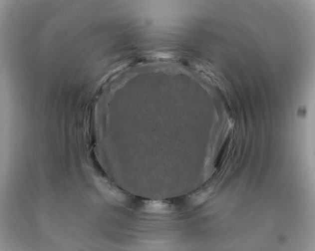 X0000091690380200709061130