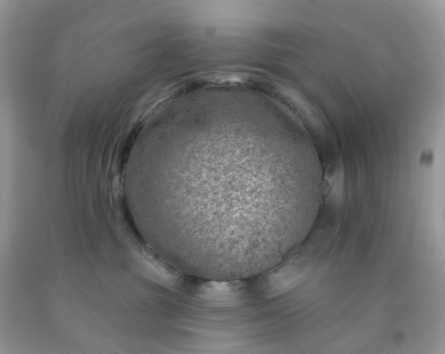 X0000091690381200709061130