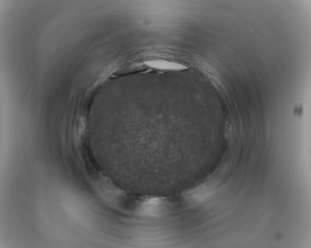 X0000091690382200709061130