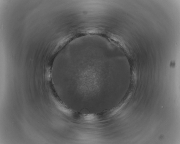 X0000091690383200709061130