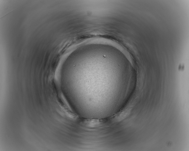 X0000091690384200709061130