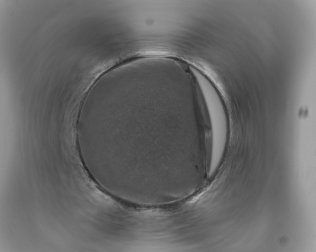 X0000091690385200709061129