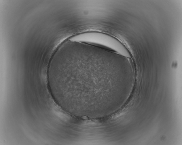 X0000091690386200709061129