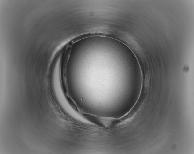 X0000091690388200709061129