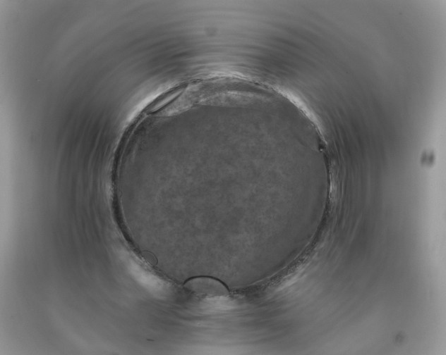 X0000091690390200709061129