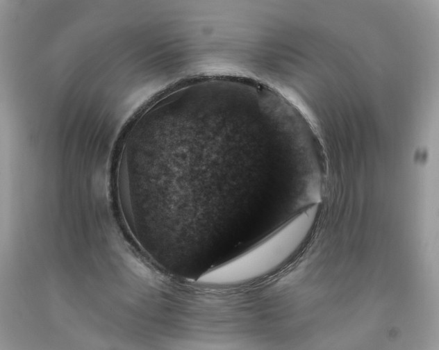 X0000091690391200709061129