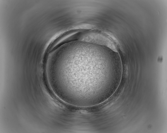 X0000091690392200709061129